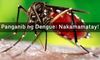 Picture of Sanaysay Tungkol sa Panganib ng Dengue