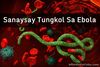 Picture of Sanaysay Tungkol sa Ebola