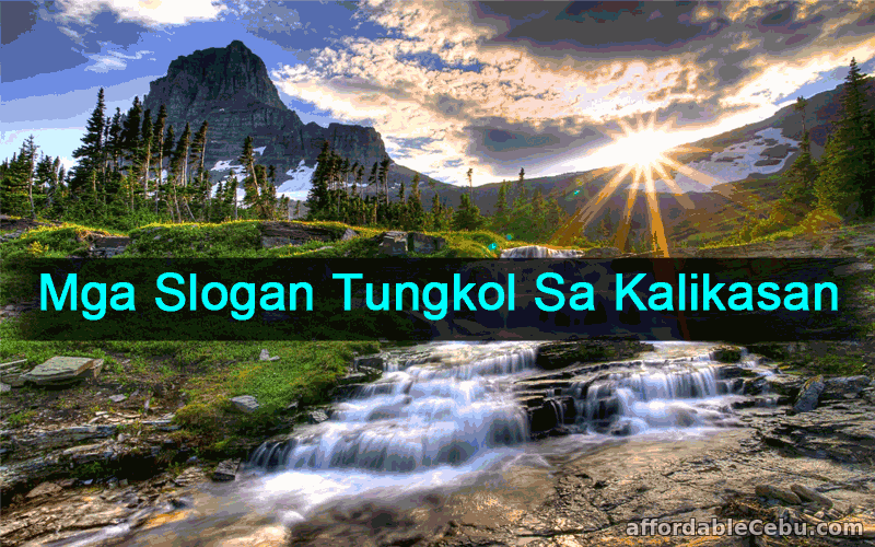 Mga Slogan Tungkol sa Kalikasan 35+ Halimbawa - Literature 30645