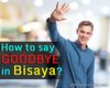 Picture of How to Say Goodbye in Bisaya?