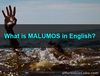 Picture of What is MALUMOS in English?