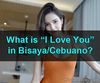 Picture of I love you in Bisaya/Cebuano?