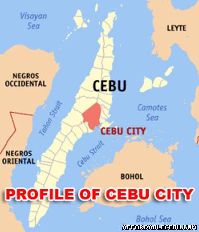 Picture of How to Get a Copy of the Profile of Cebu City