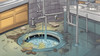 Picture of Blocked Drains Gold Coast: Common Causes and Effective Solutions
