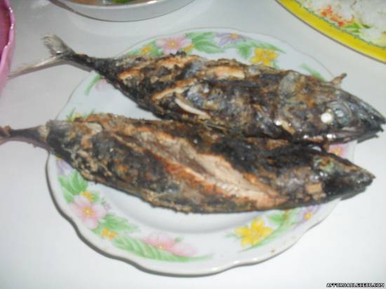Picture of Sinugba Isda (Grilled Fish), Sinugba Atay (Grilled Liver) and Kinilaw Isda (Raw Spiced Fish) with Pictures