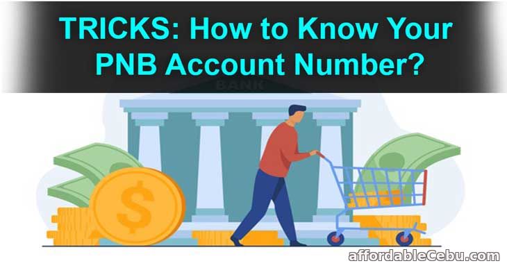 how to know pnb account number without passbook
