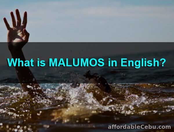 What is Malumos in English?