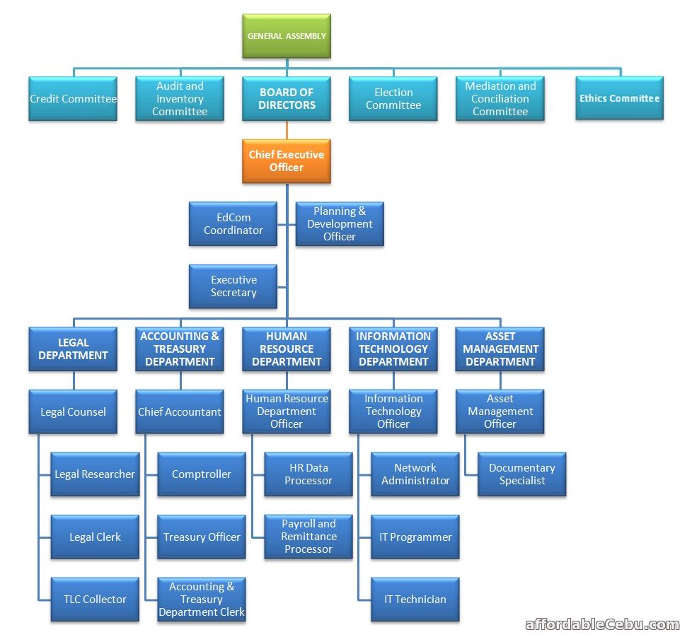 COO Organization Chart
