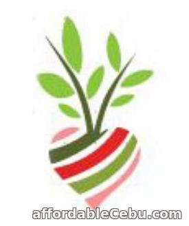 Veggies Squash Logo