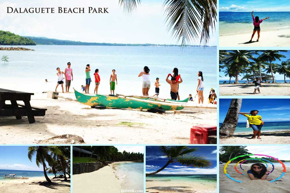 Dalaguete Beach Park Arguete