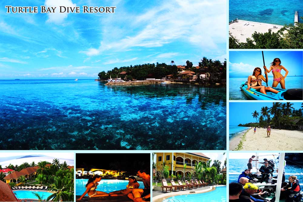 Turtle Bay Dive Resort