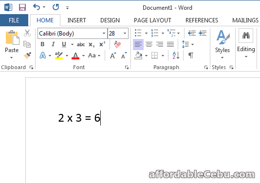Multiplication Sign in Microsoft Word