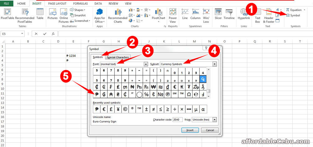 Peso Sign (₱) in Excel