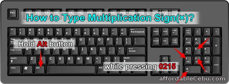 type multiplication sign (x)