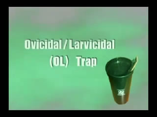 Ovicidal Larvicidal OL Trap in the Philippines
