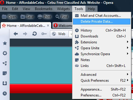 Deleting Opera browsing history