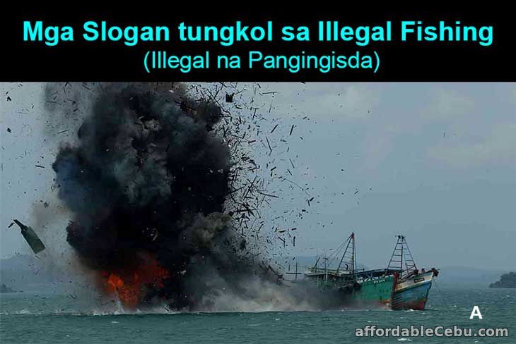 Mga Slogan tungkol sa Illegal Fishing
