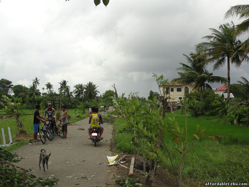 Minor debris of tornado