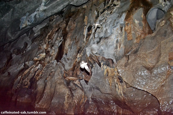 Rock Formation in Puerto Princesa Underground River Cave