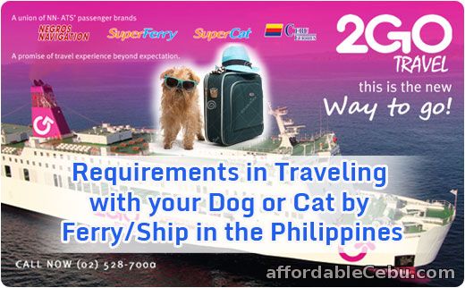 Dog Cat Travel by Ship Boat in Philippines