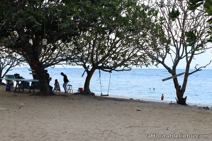 Sunrise Beach Resort Swing 3