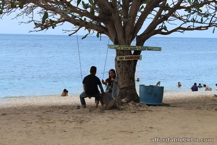 Sunrise Beach Resort Swing